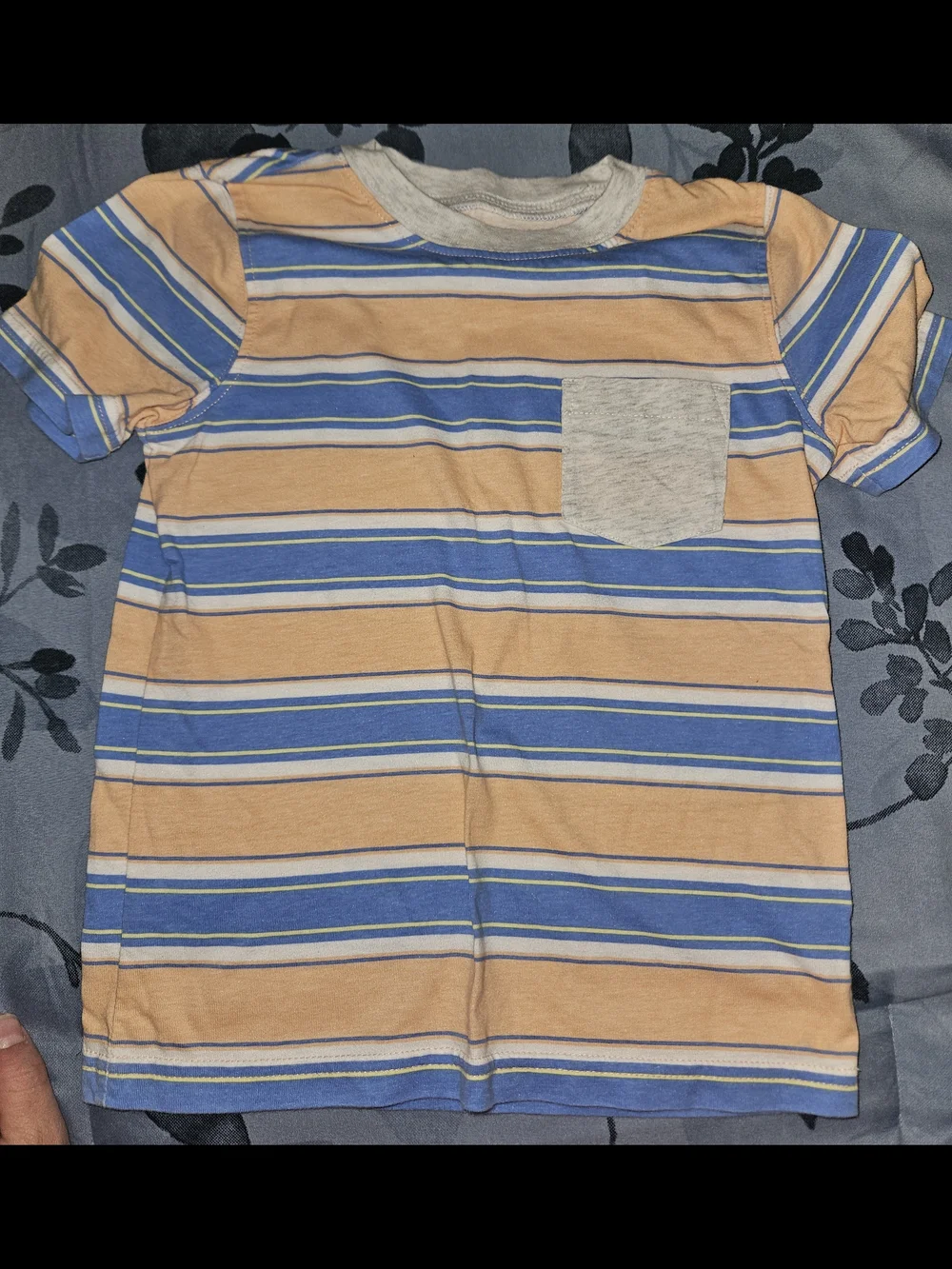 2 Carter's Toddler Tees Bundle 4T